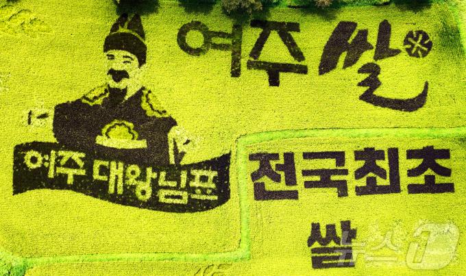 [사진] '쌀의날' 들판에 그려진 그림