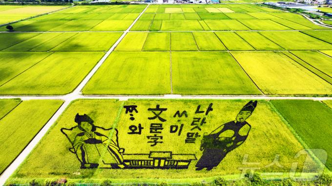 [사진] 황금들판에 그려진'쌀의 소중함'