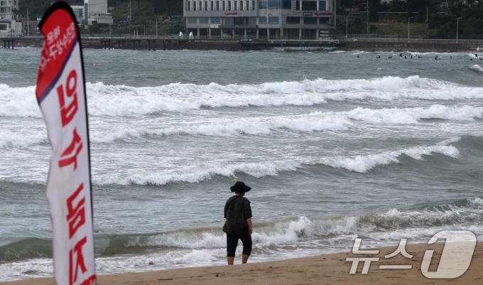 [뉴스1 PICK]태풍 '종다리' 북상…최대 75㎞/h '강풍비'