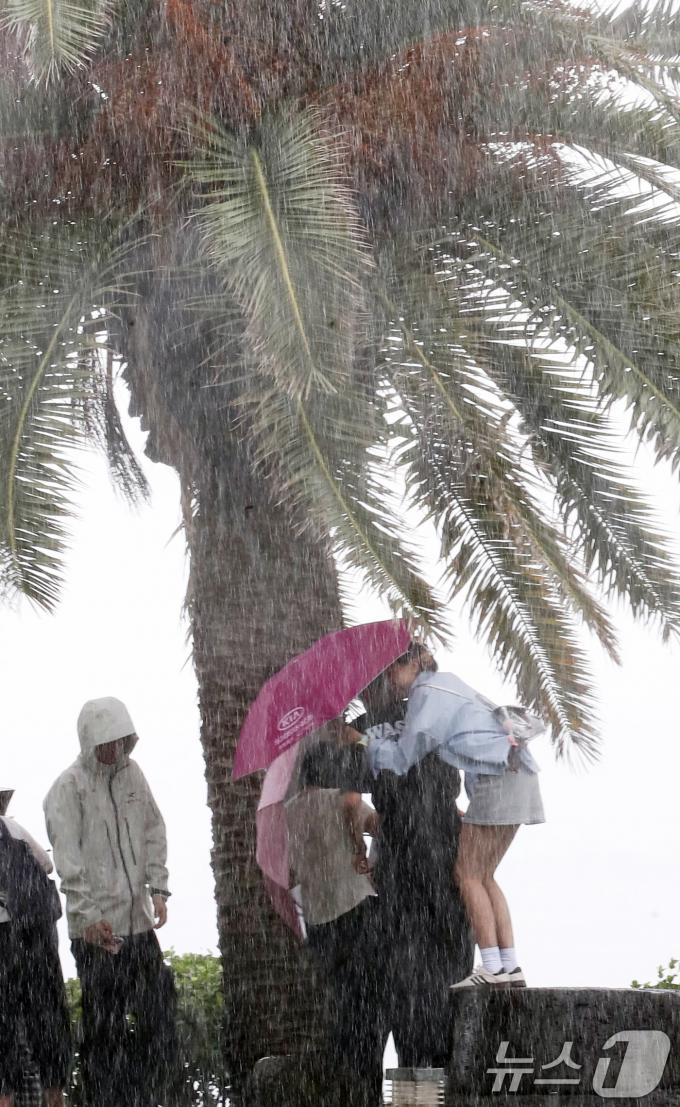 제9호 태풍 '종다리'가 제주를 향해 북상 중인 20일 오전 서귀포시 중문해수욕장 인근에서 관광객들이 야자수 아래에서 폭우를 피하고 있다. . 2024.8.20/뉴스1 ⓒ News1 오현지 기자