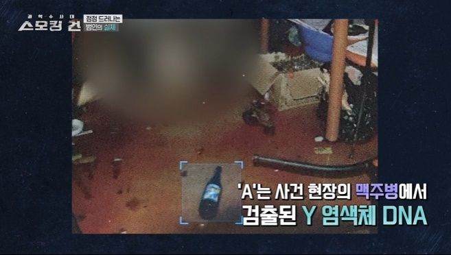 (KBS 2TV '스모킹 건' 갈무리)
