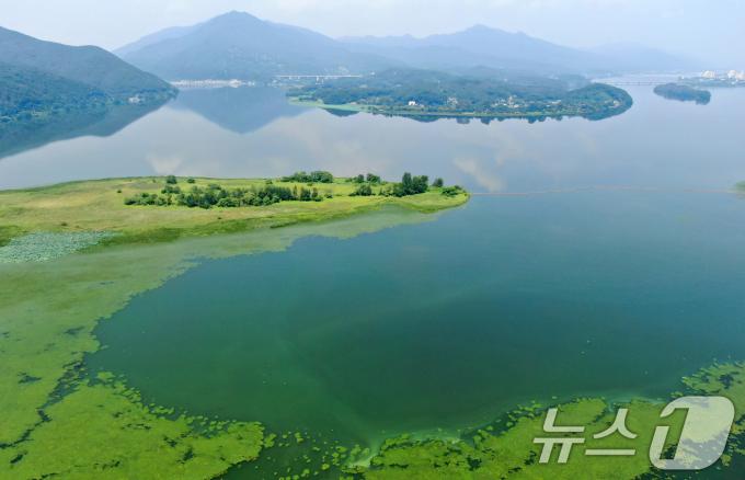[사진] '수도권 식수원' 한강 팔당호, 6년만에 녹조 비상