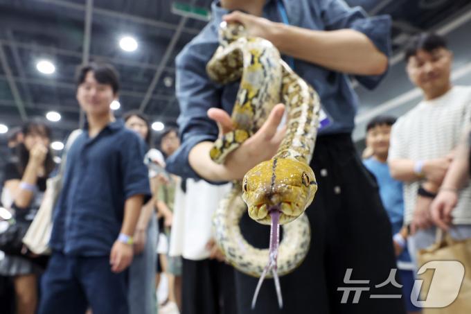 [사진] '내가 바로 비단뱀'