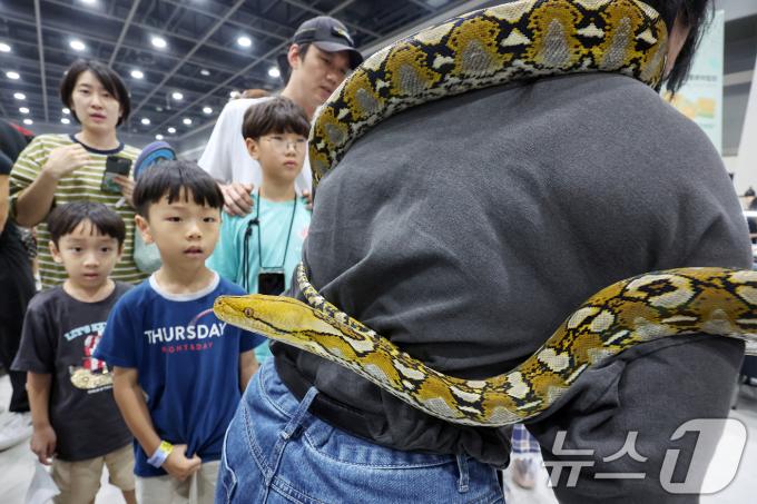 [사진] '눈 앞에 비단뱀이'