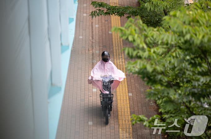 [사진] '비를 피해서'