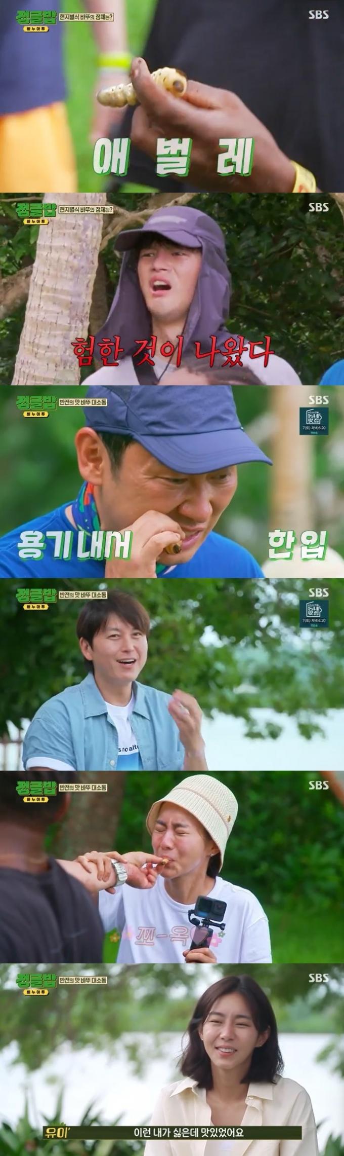 SBS '정글밥' 캡처