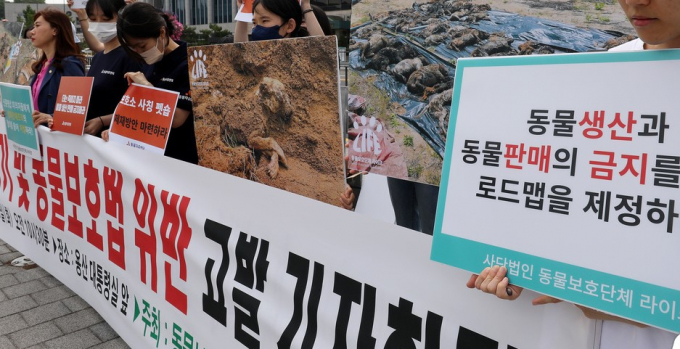 동물보호단체 관계자들이 지난해 5월 서울 용산 대통령 집무실 앞에서 신종펫샵 사기 및 동물보호법 위반 고발 기자회견을 하는 모습. 사진제공=뉴스1