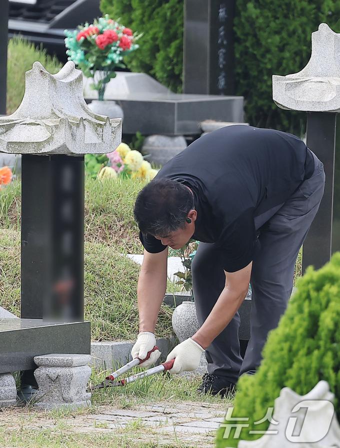 추석 명절을 2주 가량 앞둔 1일 인천 부평구 인천가족공원을 찾은 한 성묘객이 벌초를 하고 있다. 2024.9.1/뉴스1 ⓒ News1 김진환 기자