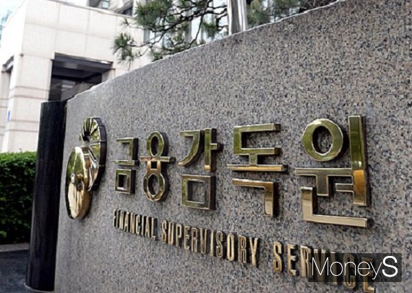 금융감독원이 은행의 여신 업무 프로세스 개선에 착수했다. 사진은 금융감독원/사진=머니S