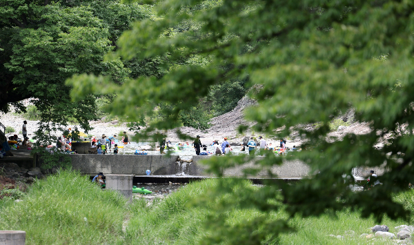 휴가철 계곡과 하천 등에서 불법 영업을 한 업주 등이 경기도특별사법경찰단에 의해 적발됐다. 사진은 지난 7월29일 경북 청도군 운문사 인근 계곡을 찾은 피서객의 모습으로 기사와는 무관. /사진=뉴시스