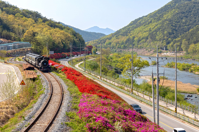                                                         곡성 섬진강변/전남도