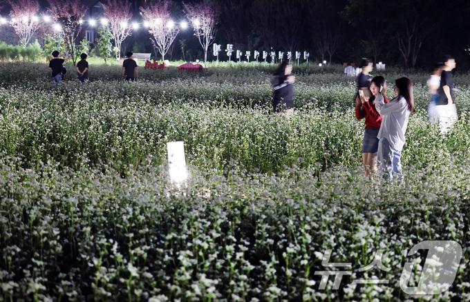 [사진] 2024평창효석문화제