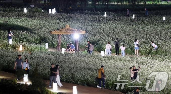[사진] 2024평창효석문화제