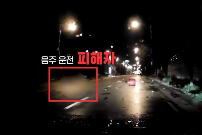 (SBS '비디오머그' 갈무리)