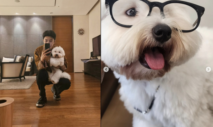 가수 임영웅의 근황이 공개됐다. /사진=임영웅 인스타그램