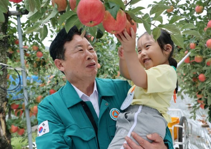  서태원 가평군수가 최근 북면 백둔리 사과농장에서 개최된 '제2회 가평소원사과 따기 행사'에서 아이와 함께 소원이 담긴 사과를 따고 있다. / 사진제공=가평군
