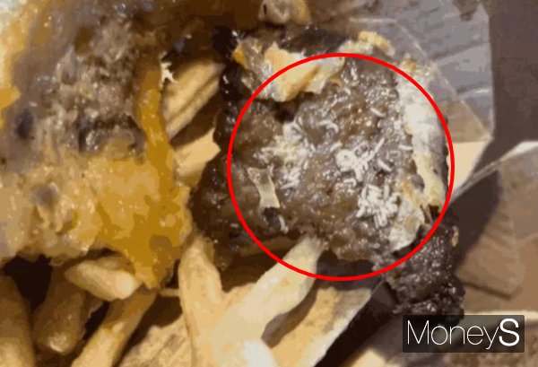 Maggot Mayhem: Customer’s 3kg Weight Loss Takes a Backseat to Sickening Discovery at US McDonald’s
