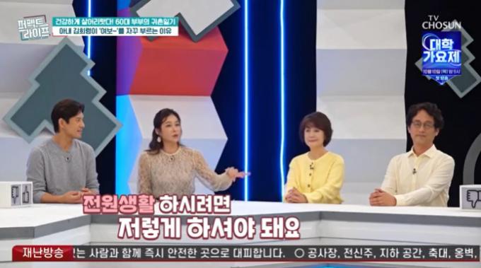 TV조선 '퍼펙트 라이프' 캡처