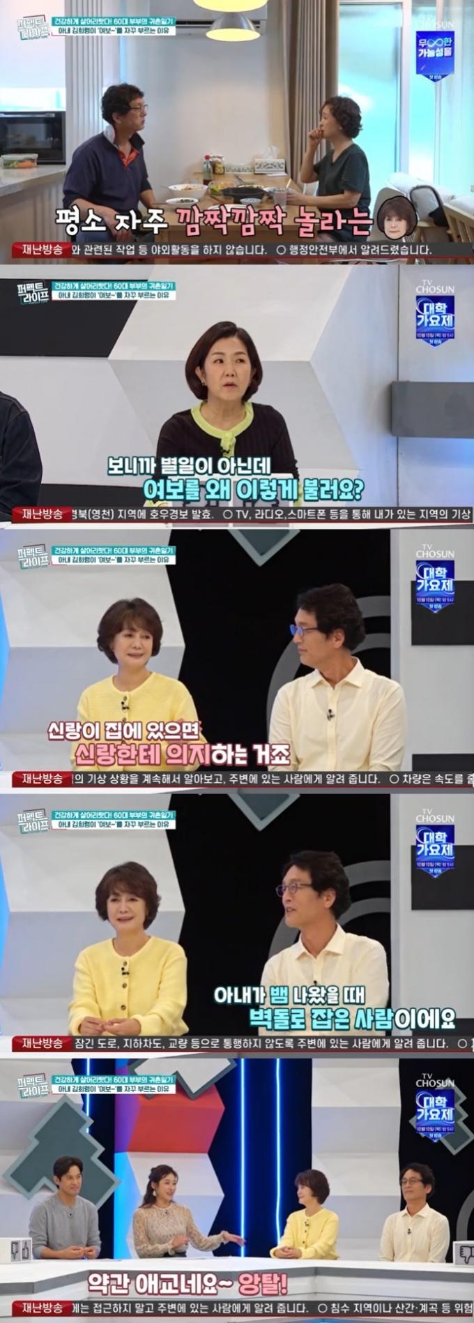 TV조선 '퍼펙트 라이프' 캡처