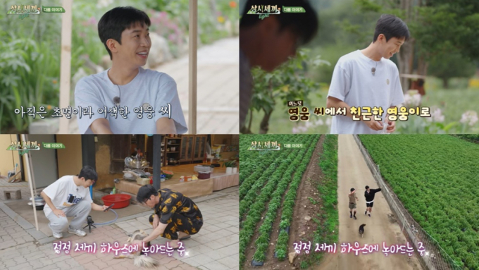 가수 임영웅이 '삼시세끼'에서 친근한 영웅이의 면모를 과시한다. 