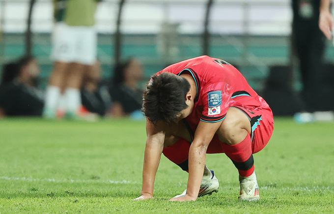 상암에 위치한 서울월드컵경기장의 잔디 상태 문제로 축구대표팀 경기가 용인에서 펼쳐진다. 잔디 상태가 훼손된 서울월드컵경기장의 모습./사진=뉴스1