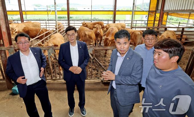 국회 농림축산식품해양수산위원회 더불어민주당 문대림 의원(왼쪽부터) 문금주 의원, 이원택 의원, 서삼석 의원이 24일 오후 경기 김포시에 위치한 한우농가를 방문해 농장주와 대화를 나누고 있다. 최근 러시아와 우크라이나 전쟁 등의 영향으로 사룟값이 급등하면서 한우 한마리당 최대 200만원 정도의 손실이 발생하는 등 한우농가의 시름이 깊어지고 있다. 2024.6.24/뉴스1 ⓒ News1 장수영 기자