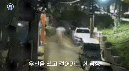 나체로 우산만 쓴 채 거리를 배회하던 남성이 붙잡혔다.우산만 쓴 채 거리를 배회하던 남성이 붙잡혔다. /사진=서울경찰 유튜브 캡쳐