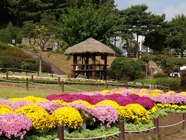 용인농촌테마파크의 가을 풍경. / 사진제공=용인시농업기술센터