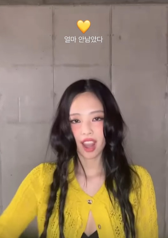 제니 인스타그램