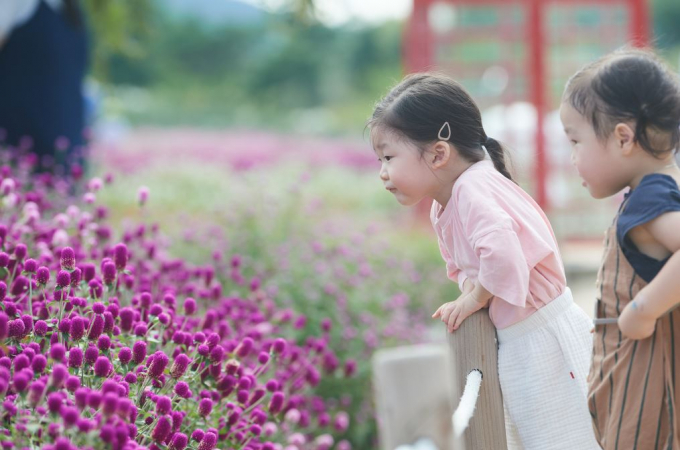 나리공원 꽃밭을 찾은 어린이들이 꽃을 감상하고 있다. / 사진제공=양주시