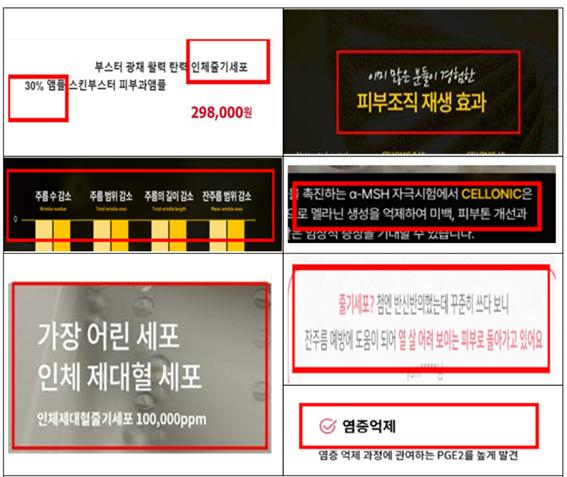 줄기세포 화장품 업체가 광고한 소비자 오인 우려 문구/사진=부산시