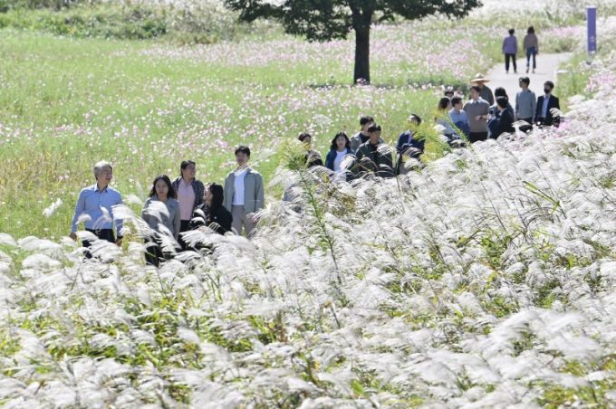 지난해 서창억세축제./사진=광주 서구청