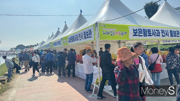 제철사과를 맛보기 위해 많은 방문객들로 붐비는 축제현장/사진=장일 기자