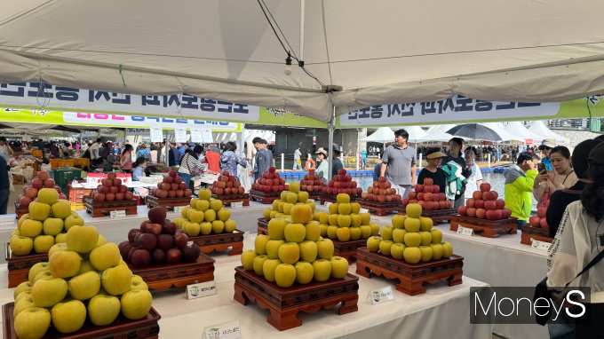 시나노골드(노란사과)의 출품이 매년 증가하고 있으며 소비자의 반응 또한 매우 좋아 성황리에 판매됐다./사진=장일 기자