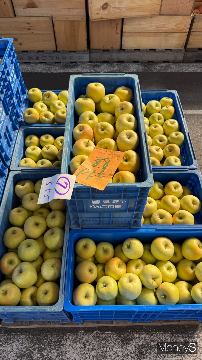 일본 아오모리현 이타나야기의 농산물경매장에서 유통되는 모든 사과는 꼭지가 붙어있다./사진=장일 기자