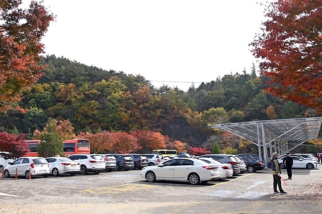 청송군이 오는 19일부터 11월17일까지 5주간 주왕산 특별 교통대책을 추진한다./사진제공=경북 청송군
