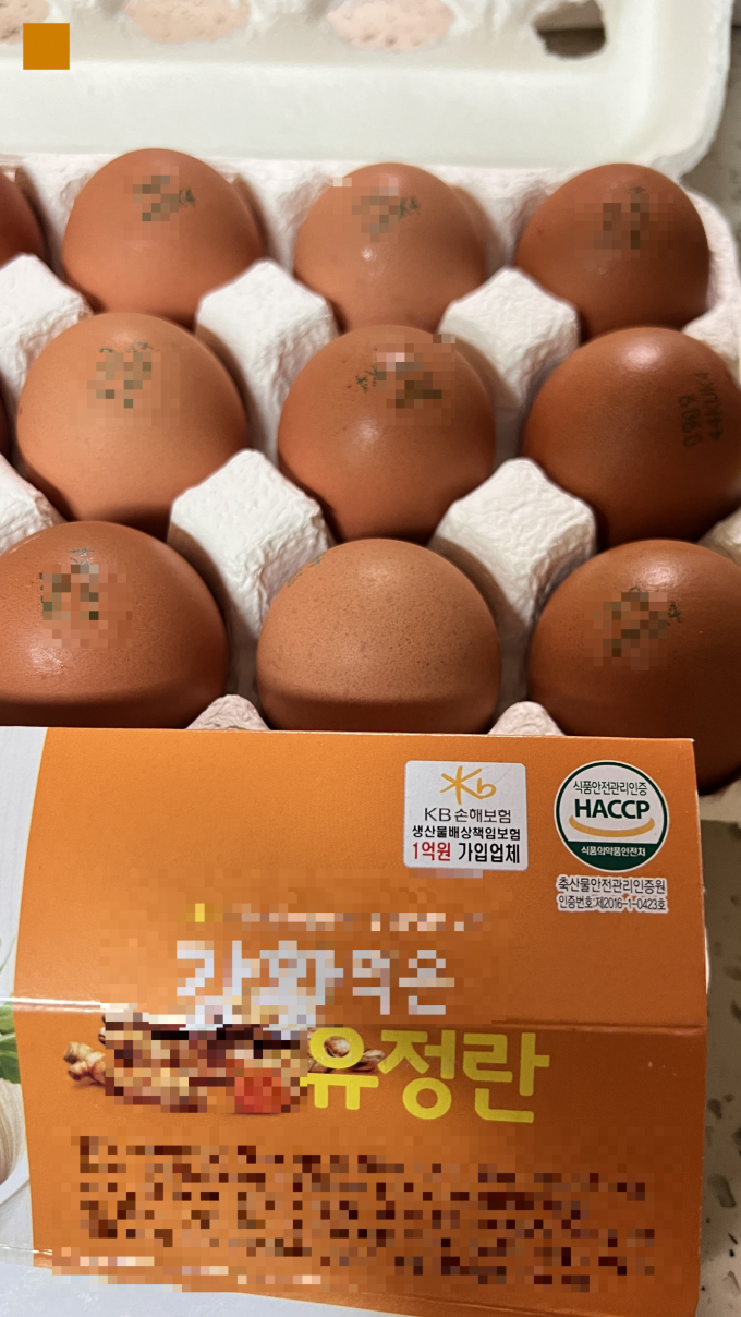 유정란으로 표시되어 있는 난각번호 4번 표시된 계란이 마트에 진열되어 판매된다./사진=장일 기자
