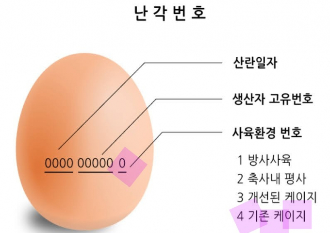 판매되는 모든 계란에는 난각번호가 레이져로 각인되어 사육환경을 알수 있다./사진제공=농림축산식품부