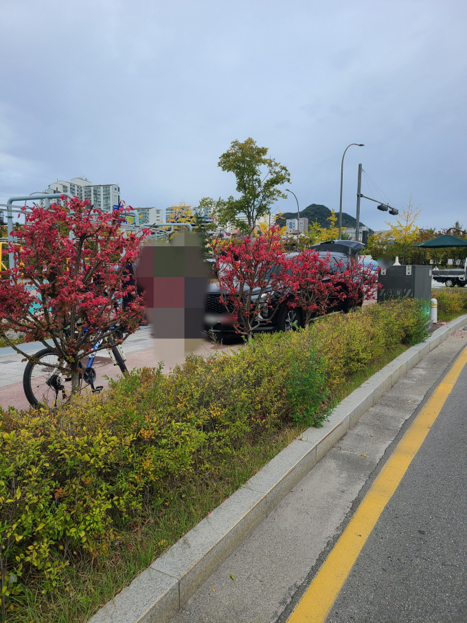 50대 현직 경찰관이 운전 중 실수로 돌진해 70대 여성 보행자가 다쳤다. 사진은 강원 춘천 효자동 교통사고 현장. /사진=뉴스1(강원도소방본부 제공)