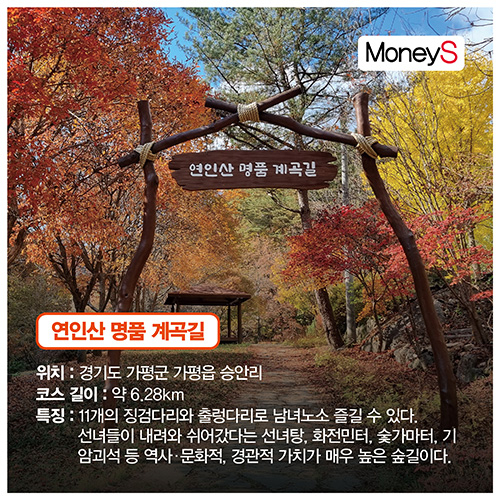 [그래픽 뉴스] 더 추워지기 전에 같이 걸어요… 산림청이 추천한 '오색단풍 명품숲길 5곳'