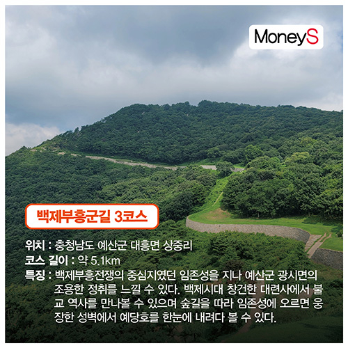[그래픽 뉴스] 더 추워지기 전에 같이 걸어요… 산림청이 추천한 '오색단풍 명품숲길 5곳'