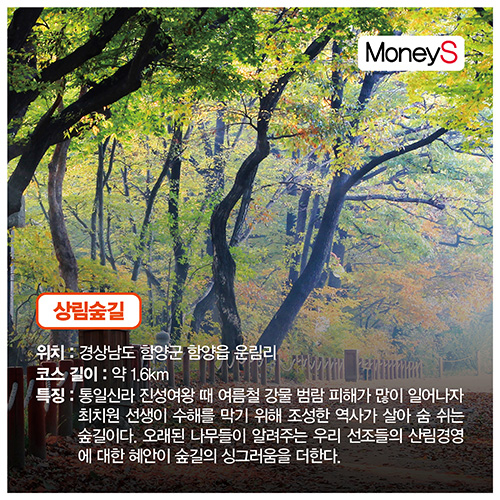 [그래픽 뉴스] 더 추워지기 전에 같이 걸어요… 산림청이 추천한 '오색단풍 명품숲길 5곳'
