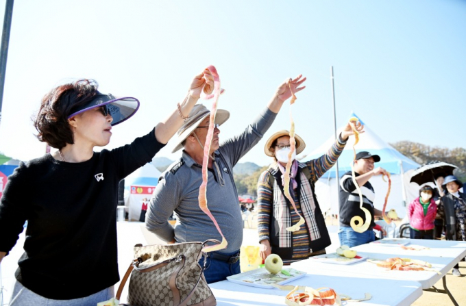 사과 길게 깎기 행사에서 실력을 뽐내고 있다./사진제공=청송군