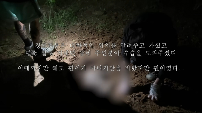 유튜버 '다나나'가 청소업체 부주의로 11년간 키운 반려묘를 잃었다고 전했다. /사진=유튜브 '다나나' 채널 영상 캡처