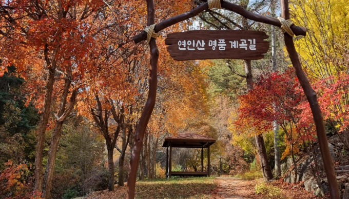 산림청이 전국 명품숲길 5곳 중 하나로 선정한 '연인산 명품 계곡길' 사진제공=가평군