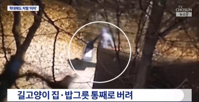(TV조선 갈무리)