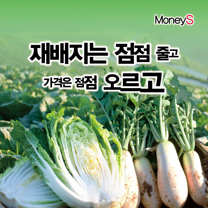 [그래픽 뉴스] 