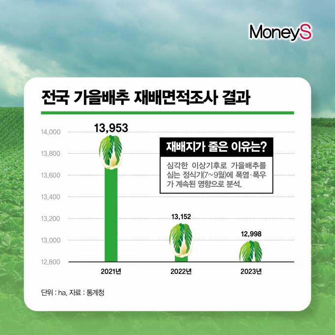 [그래픽 뉴스] 