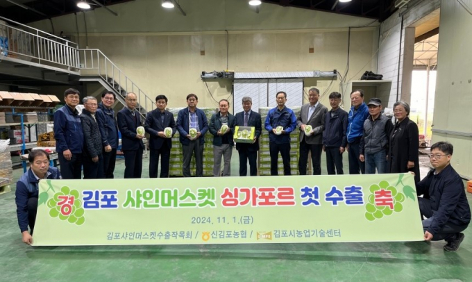 김포시가 샤인머스캣의 해외 첫 수출 물량(250박스 500kg) 기념식이 월곶면 고막리 수출선별장에서 진행됐다. / 사진제공=김포시