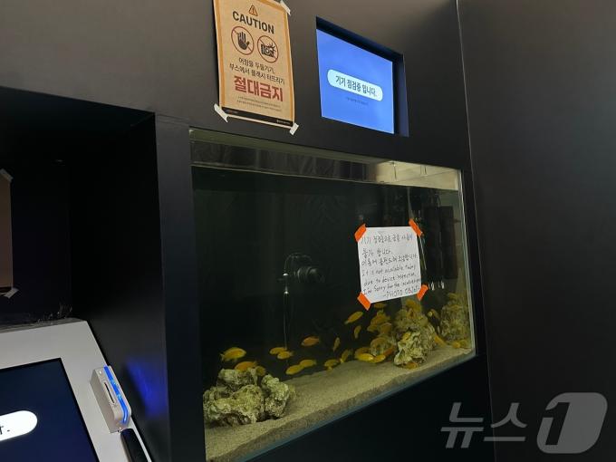 서울 성동구 성수동의 한 '물고기 네컷사진' 포토부스 내부 모습. 어항 뒤편으로 카메라가 있다. ⓒ 뉴스1 홍유진 기자